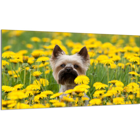 Placa protectora de cristal para estufa 90x52 Perro
