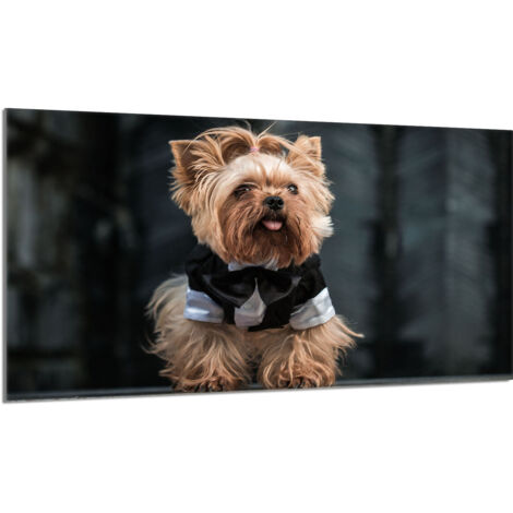 Placa protectora de cristal para estufa 90x52 Perro