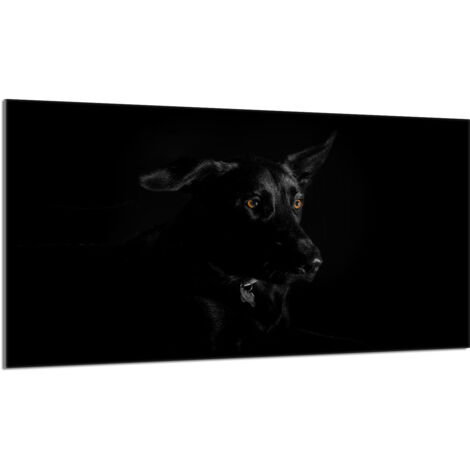 Placa protectora de cristal para estufa 90x52 Perro