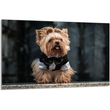 Placa protectora de cristal para la estufa 80x52 Perro