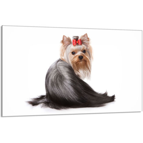 Placa protectora de cristal para la estufa 80x52 Perro