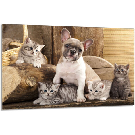 Placa protectora de cristal para la estufa 80x52 Perro
