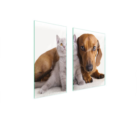 PLACA PROTECTORA DE VIDRIO 75x52 ANIMALES