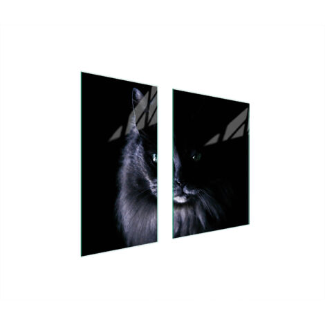PLACA PROTECTORA DE VIDRIO 75x52 CAT