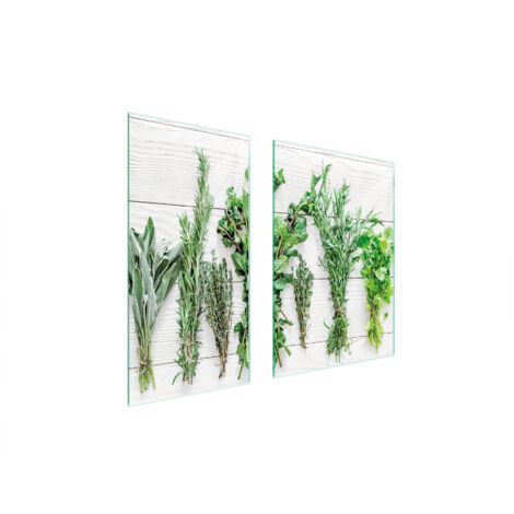 PLACA PROTECTORA DE VIDRIO 75x52 ESPECIAS