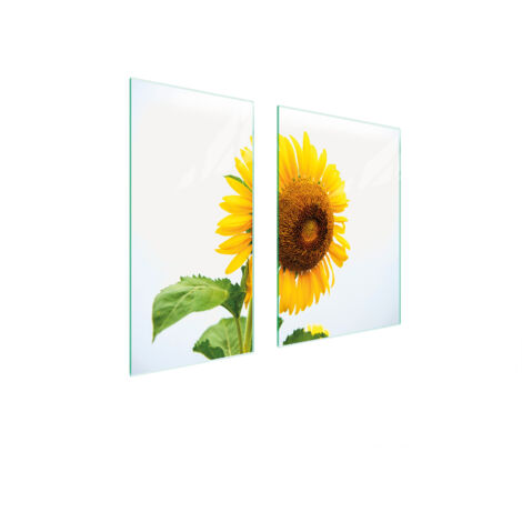 PLACA PROTECTORA DE VIDRIO 75x52 FLOR
