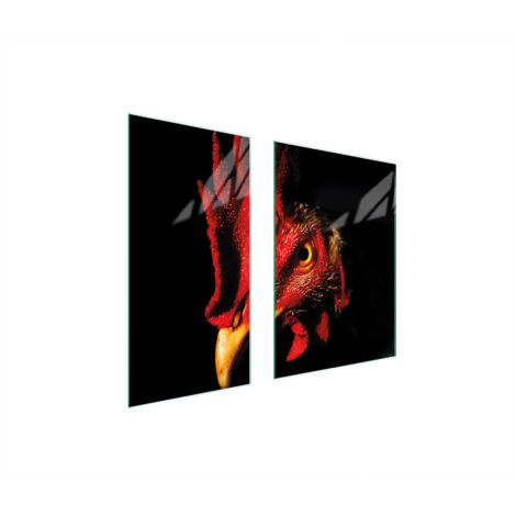 PLACA PROTECTORA DE VIDRIO 75x52 GALLO