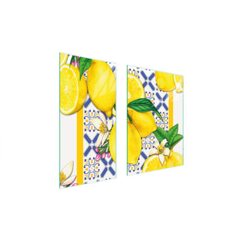 PLACA PROTECTORA DE VIDRIO 75x52 LIMONES