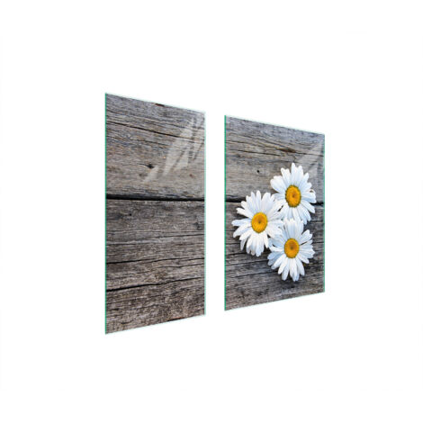 PLACA PROTECTORA DE VIDRIO 75x52 MARGARITA