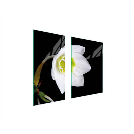 PLACA PROTECTORA DE VIDRIO 75x52 ORQUÍDEA