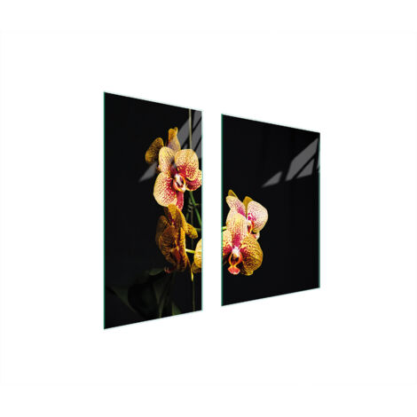 PLACA PROTECTORA DE VIDRIO 75x52 ORQUÍDEA