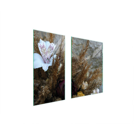 PLACA PROTECTORA DE VIDRIO 75x52 ORQUÍDEA