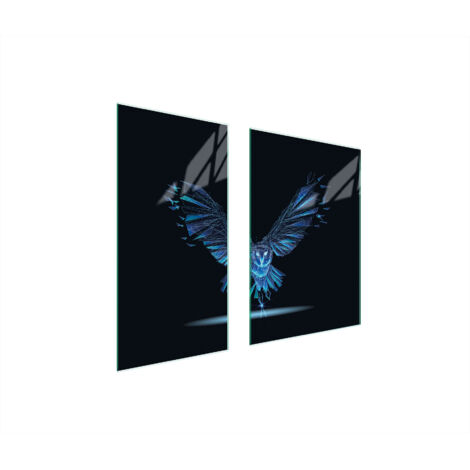 PLACA PROTECTORA DE VIDRIO 75x52 PÁJARO
