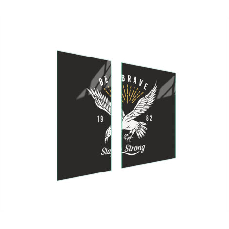 PLACA PROTECTORA DE VIDRIO 75x52 PÁJARO
