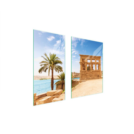 PLACA PROTECTORA DE VIDRIO 75x52 PALMERAS