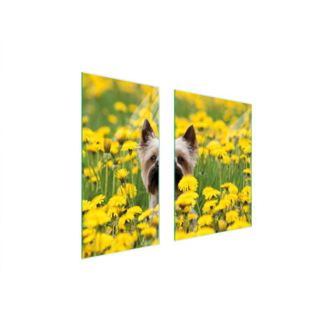 PLACA PROTECTORA DE VIDRIO 75x52 PERRO