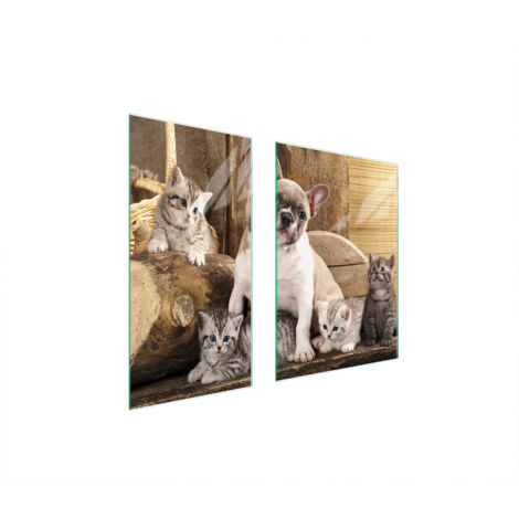 PLACA PROTECTORA DE VIDRIO 75x52 PERRO