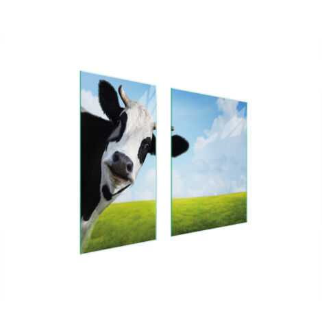 PLACA PROTECTORA DE VIDRIO 75x52 VACA