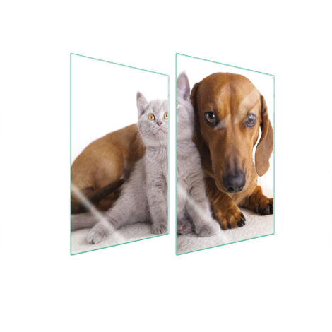 PLACA PROTECTORA DE VIDRIO PARA COCINA 2x35x52 ANIMALES