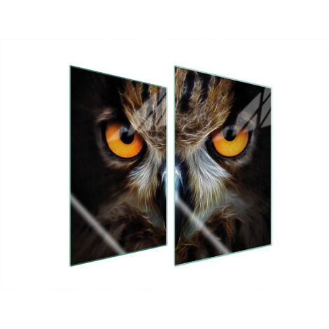 PLACA PROTECTORA DE VIDRIO PARA COCINA 2x35x52 BÚHO