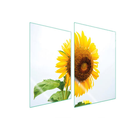 PLACA PROTECTORA DE VIDRIO PARA COCINA 2x35x52 FLOR