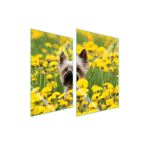 PLACA PROTECTORA DE VIDRIO PARA COCINA 2x35x52 PERRO
