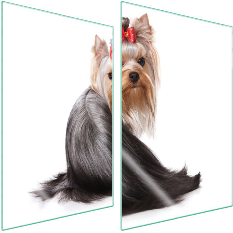 PLACA PROTECTORA DE VIDRIO PARA COCINA 2x35x52 PERRO