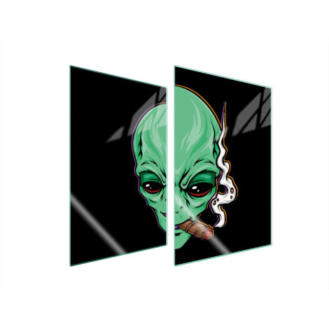 PLACA PROTECTORA DE VIDRIO PARA COCINA 2x35x52 UFO