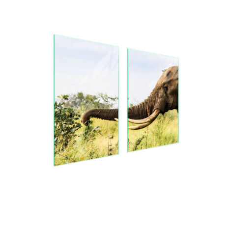 PLACA PROTECTORA DE VIDRIO PARA COCINA 65x52 ELEFANTE