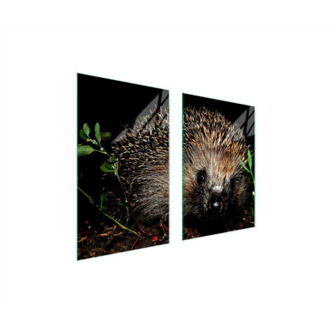 PLACA PROTECTORA DE VIDRIO PARA COCINA 65x52 ERIZO