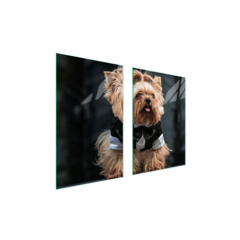 PLACA PROTECTORA DE VIDRIO PARA COCINA 65x52 PERRO