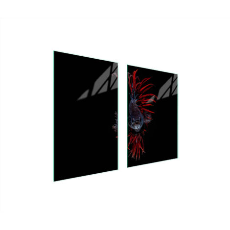 PLACA PROTECTORA DE VIDRIO PARA COCINA 65x52 PESCADO