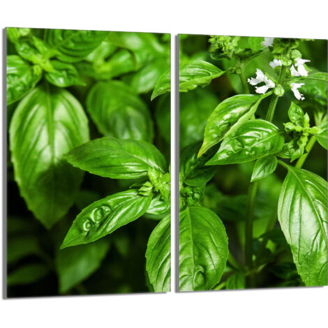 Placa protectora de vidrio para estufa 2x30x52 Albahaca