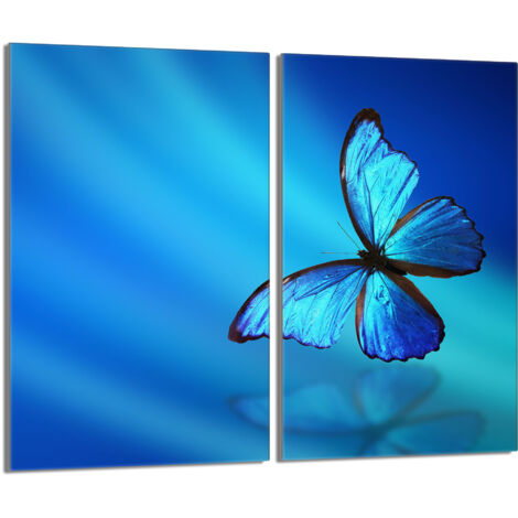 Placa protectora de vidrio para estufa 2x30x52 Mariposa