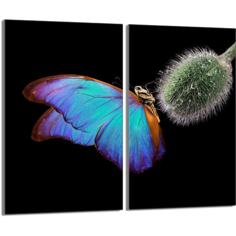 Placa protectora de vidrio para estufa 2x30x52 Mariposa