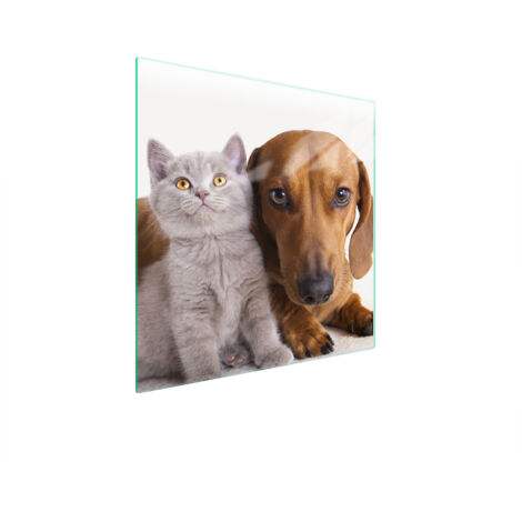 PLACA PROTECTORA DE VIDRIO PARA ESTUFA 50x52 ANIMALES