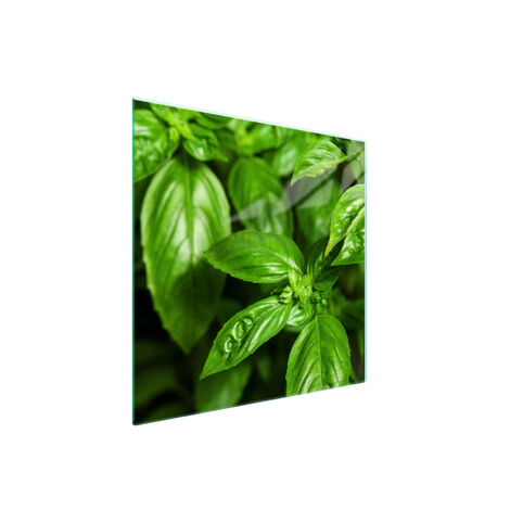 PLACA PROTECTORA DE VIDRIO PARA ESTUFA 50x52 BASIL