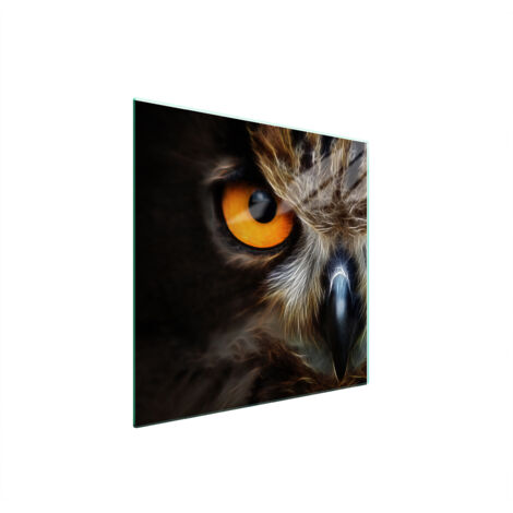 PLACA PROTECTORA DE VIDRIO PARA ESTUFA 50x52 BÚHO