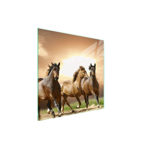 PLACA PROTECTORA DE VIDRIO PARA ESTUFA 50x52 CABALLOS