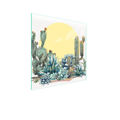 PLACA PROTECTORA DE VIDRIO PARA ESTUFA 50x52 CACTUS