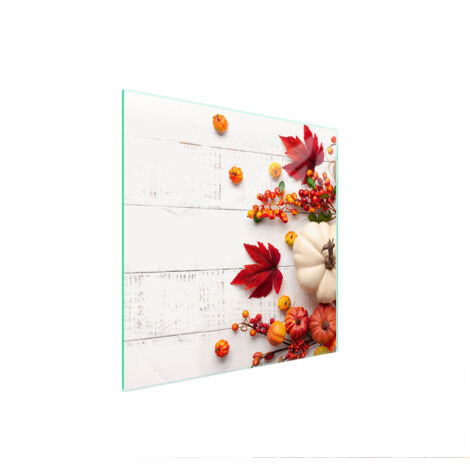 PLACA PROTECTORA DE VIDRIO PARA ESTUFA 50x52 CALABAZA