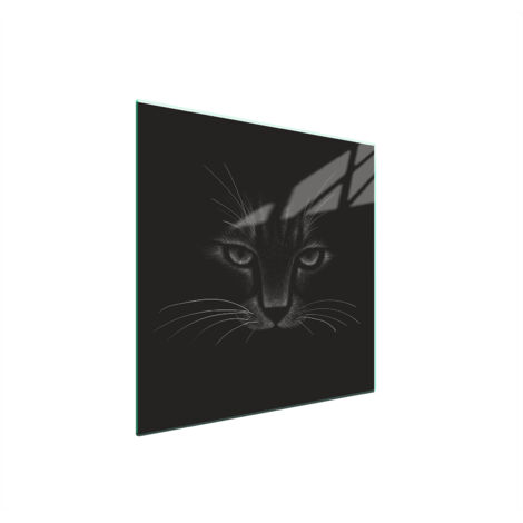PLACA PROTECTORA DE VIDRIO PARA ESTUFA 50x52 CAT