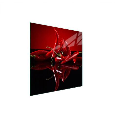 PLACA PROTECTORA DE VIDRIO PARA ESTUFA 50x52 CHILI