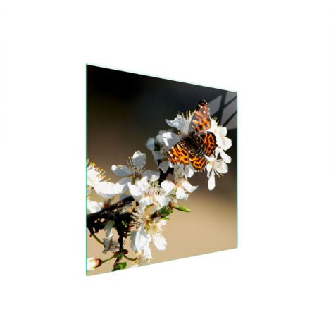 PLACA PROTECTORA DE VIDRIO PARA ESTUFA 50x52 CIRUELA