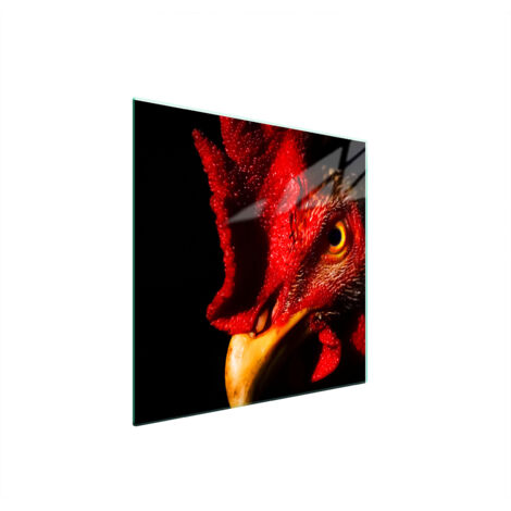 PLACA PROTECTORA DE VIDRIO PARA ESTUFA 50x52 GALLO