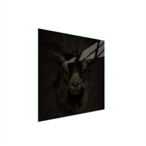 PLACA PROTECTORA DE VIDRIO PARA ESTUFA 50x52 KOZA