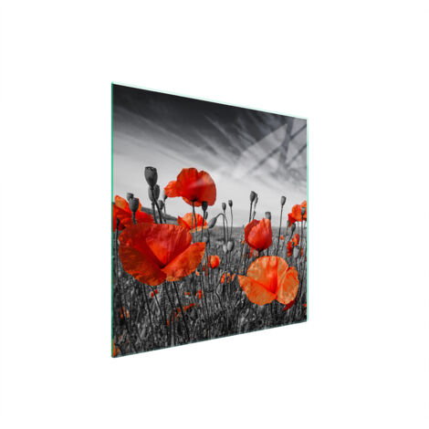 PLACA PROTECTORA DE VIDRIO PARA ESTUFA 50x52 MAKI