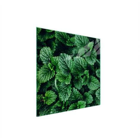 PLACA PROTECTORA DE VIDRIO PARA ESTUFA 50x52 MELISA