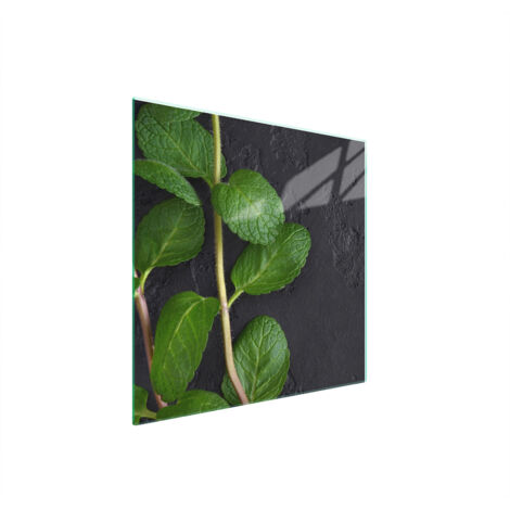 PLACA PROTECTORA DE VIDRIO PARA ESTUFA 50x52 MENTA