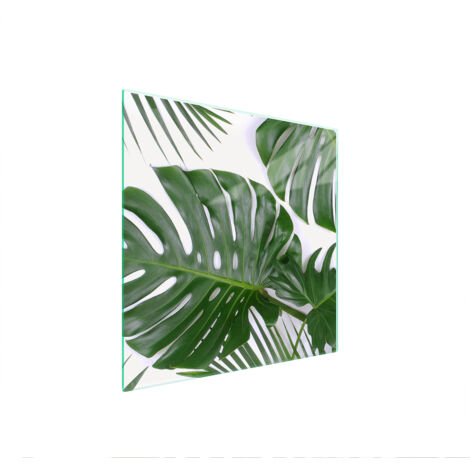 PLACA PROTECTORA DE VIDRIO PARA ESTUFA 50x52 MONSTERA